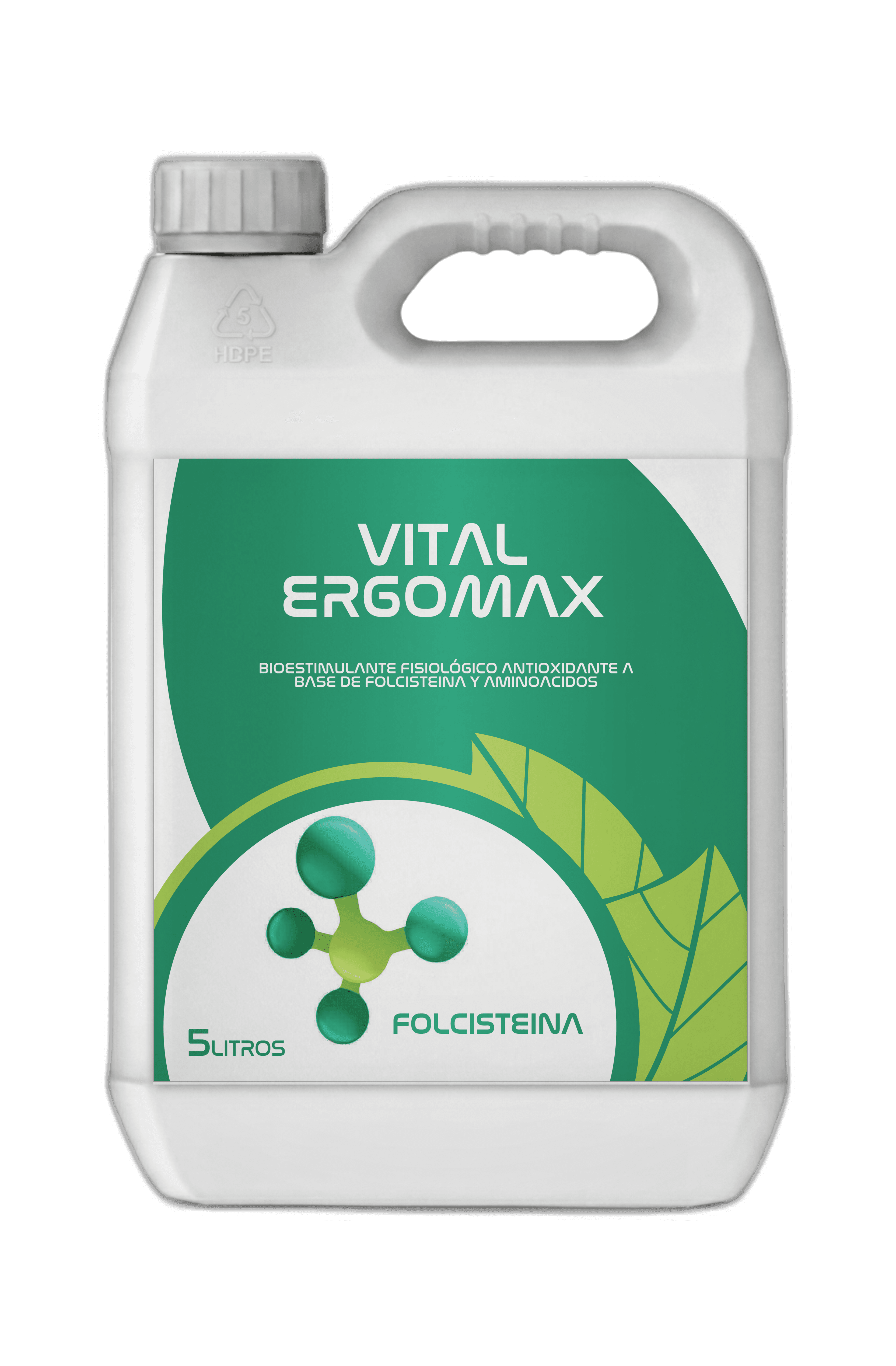 Vital Ergomax